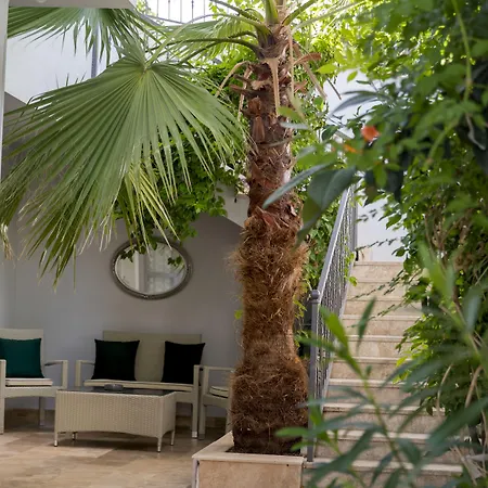 Delight Deluxe Aparts 3*